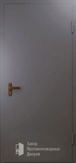 Фото двери «Техническая дверь №1 однопольная» в Бронницам