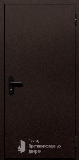 Фото двери «Однопольная глухая №110» в Бронницам